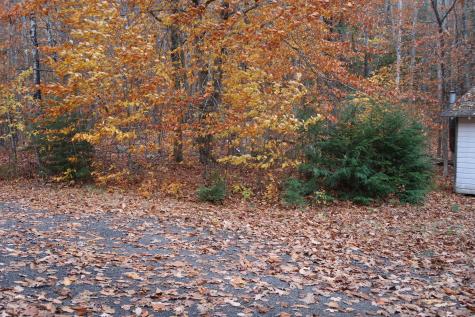 64 Paddleford Road Fayette ME 04349