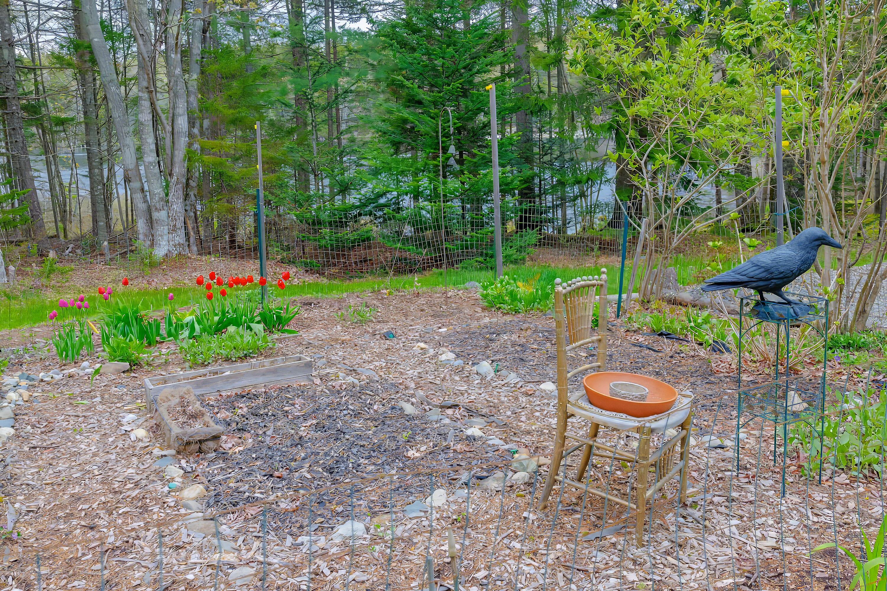 176 N Main Street Stonington ME 04681