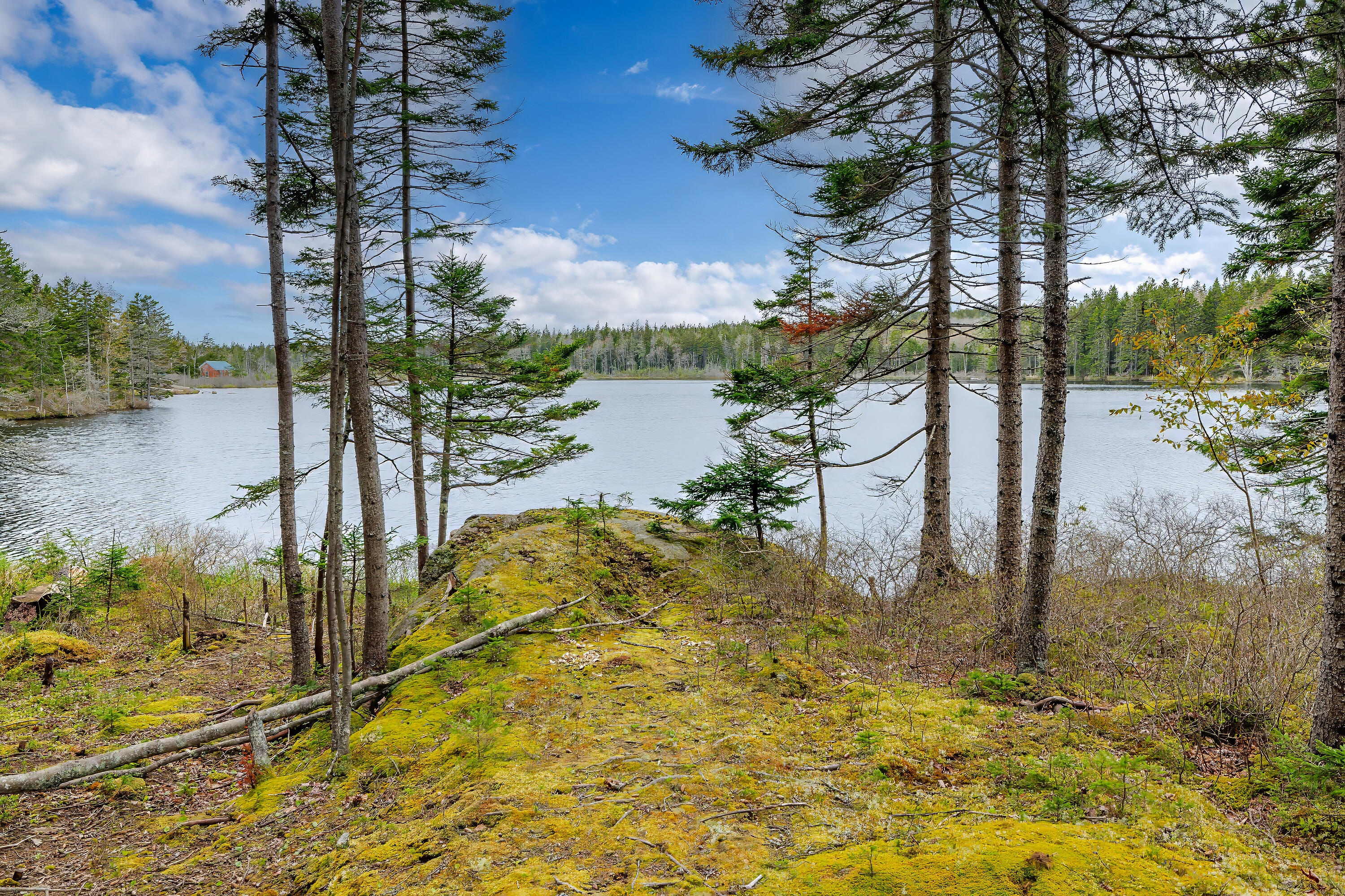 176 N Main Street Stonington ME 04681