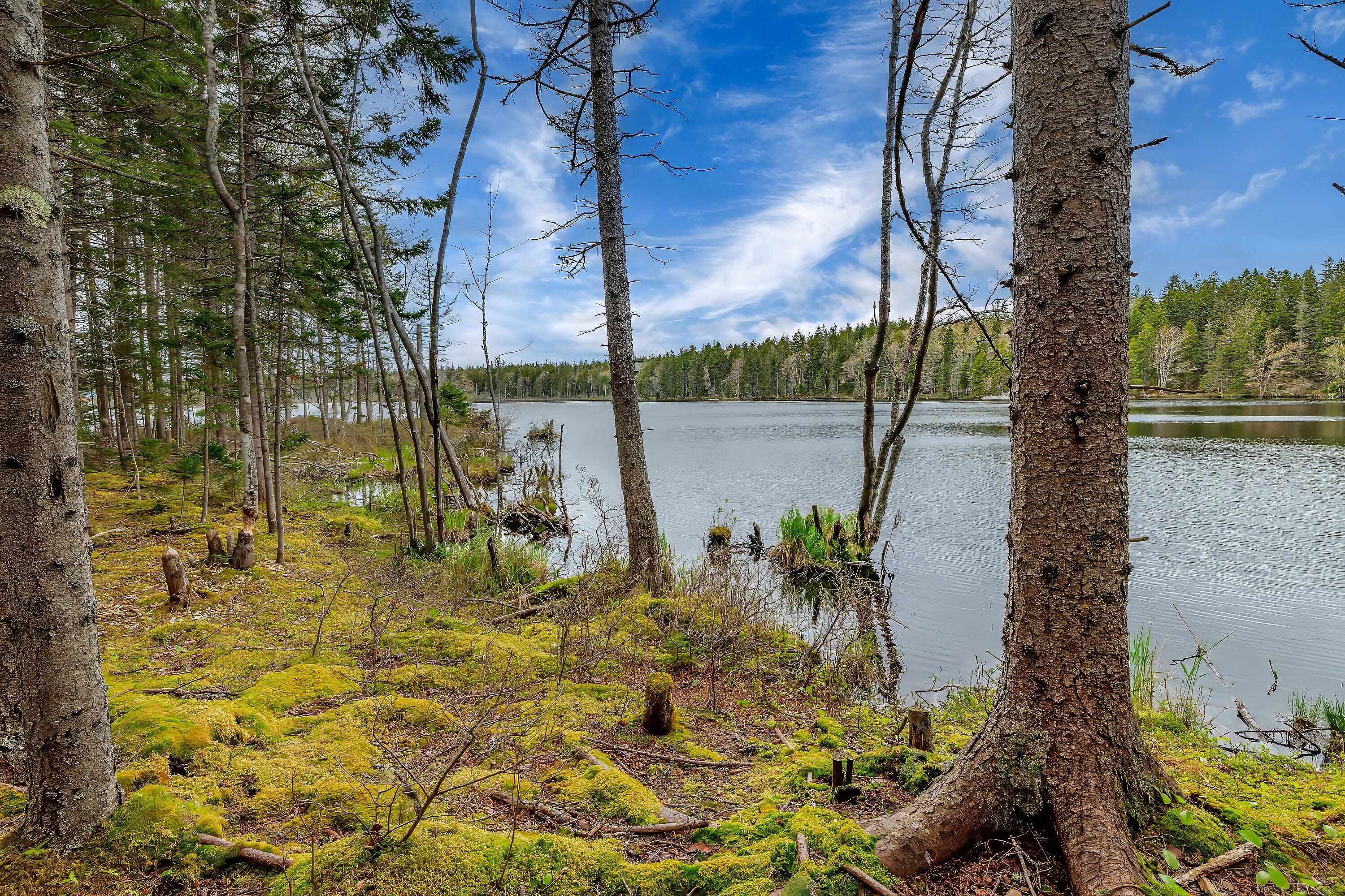 176 N Main Street Stonington ME 04681