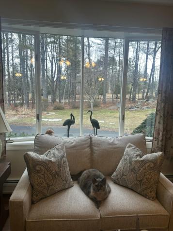 271 Hampden Road Carmel ME 04419