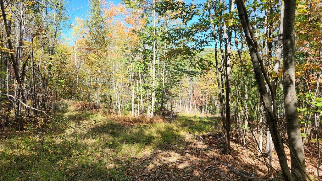 Lot 28 Adams Road Chesterville ME 04938