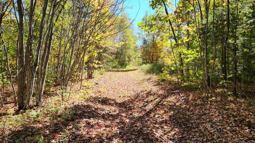 Lot 28 Adams Road Chesterville ME 04938