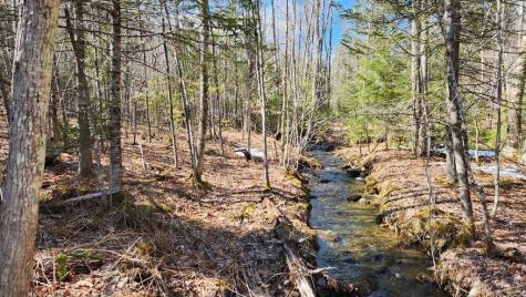 Lot 28 Adams Road Chesterville ME 04938