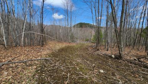 Lot 28 Adams Road Chesterville ME 04938