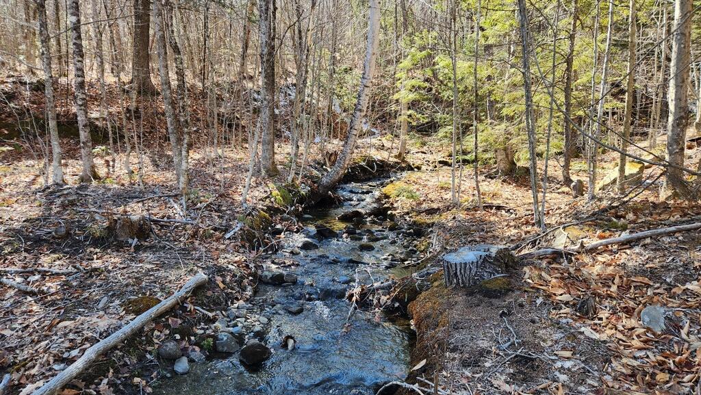 Lot 28 Adams Road Chesterville ME 04938