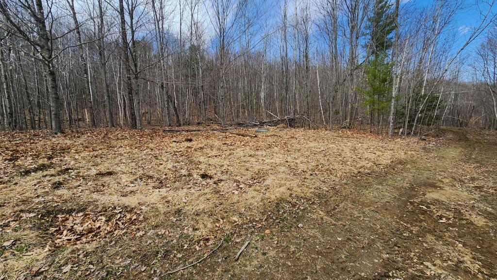 Lot 28 Adams Road Chesterville ME 04938