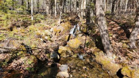 Lot 28 Adams Road Chesterville ME 04938
