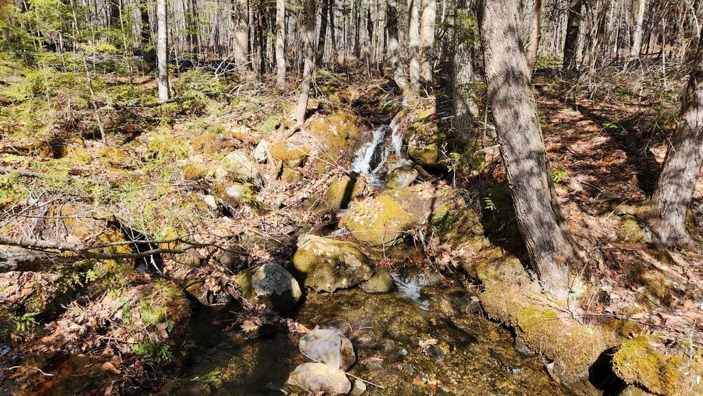 Lot 28 Adams Road Chesterville ME 04938