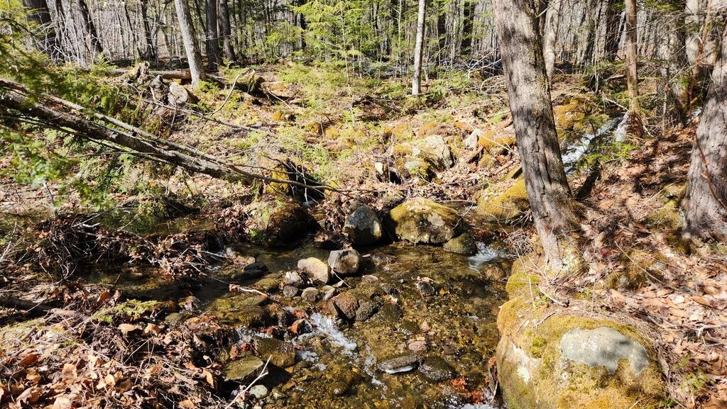 Lot 28 Adams Road Chesterville ME 04938