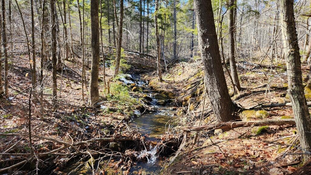 Lot 28 Adams Road Chesterville ME 04938