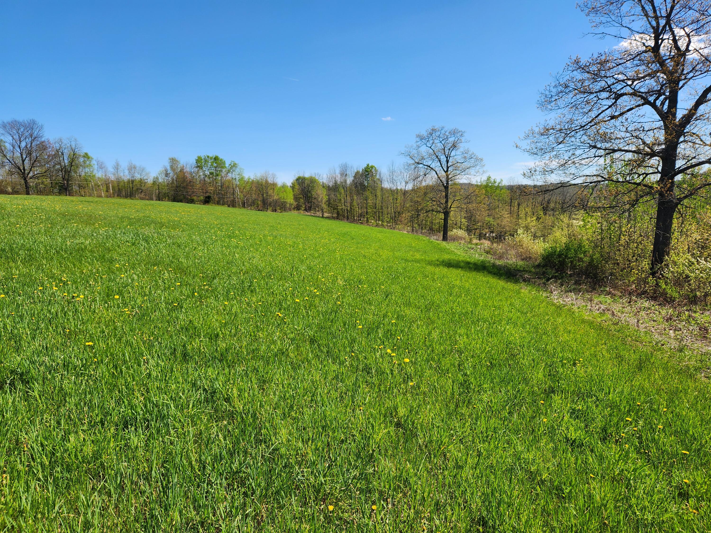 286 Staples Hill Road Canton ME 04221