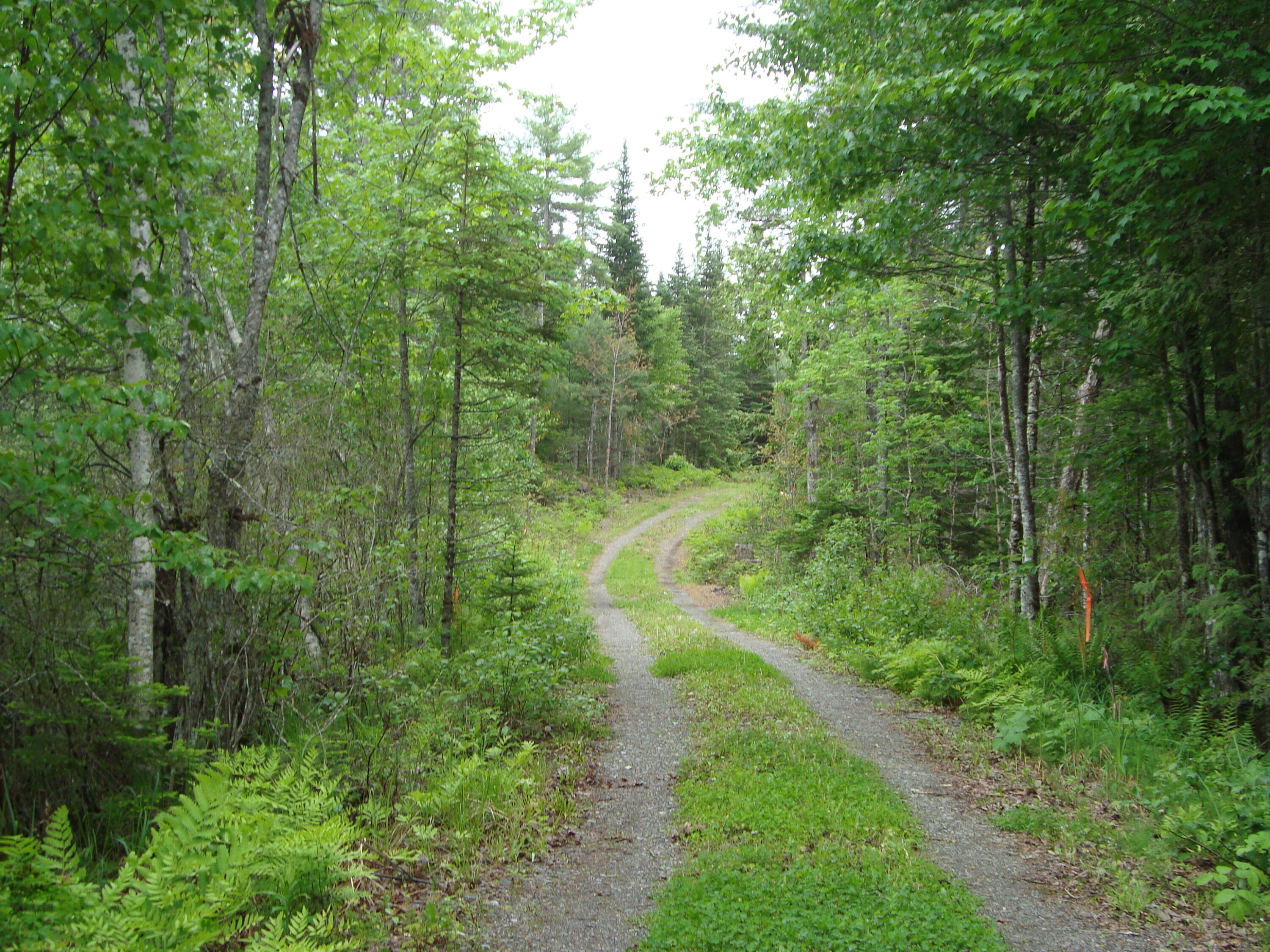 M4l71 Bragg Road Plymouth, ME