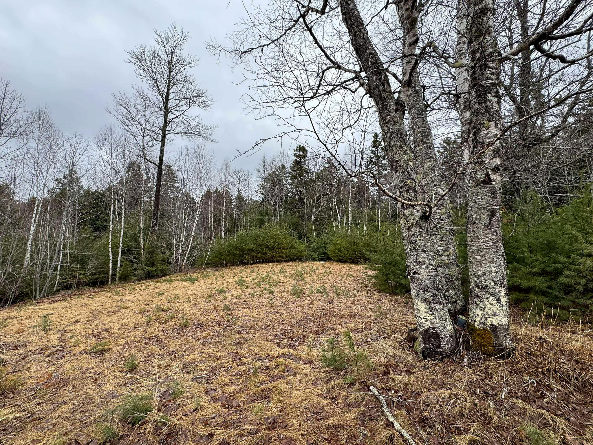 116 Sandy Beach Lane Otis ME 04605