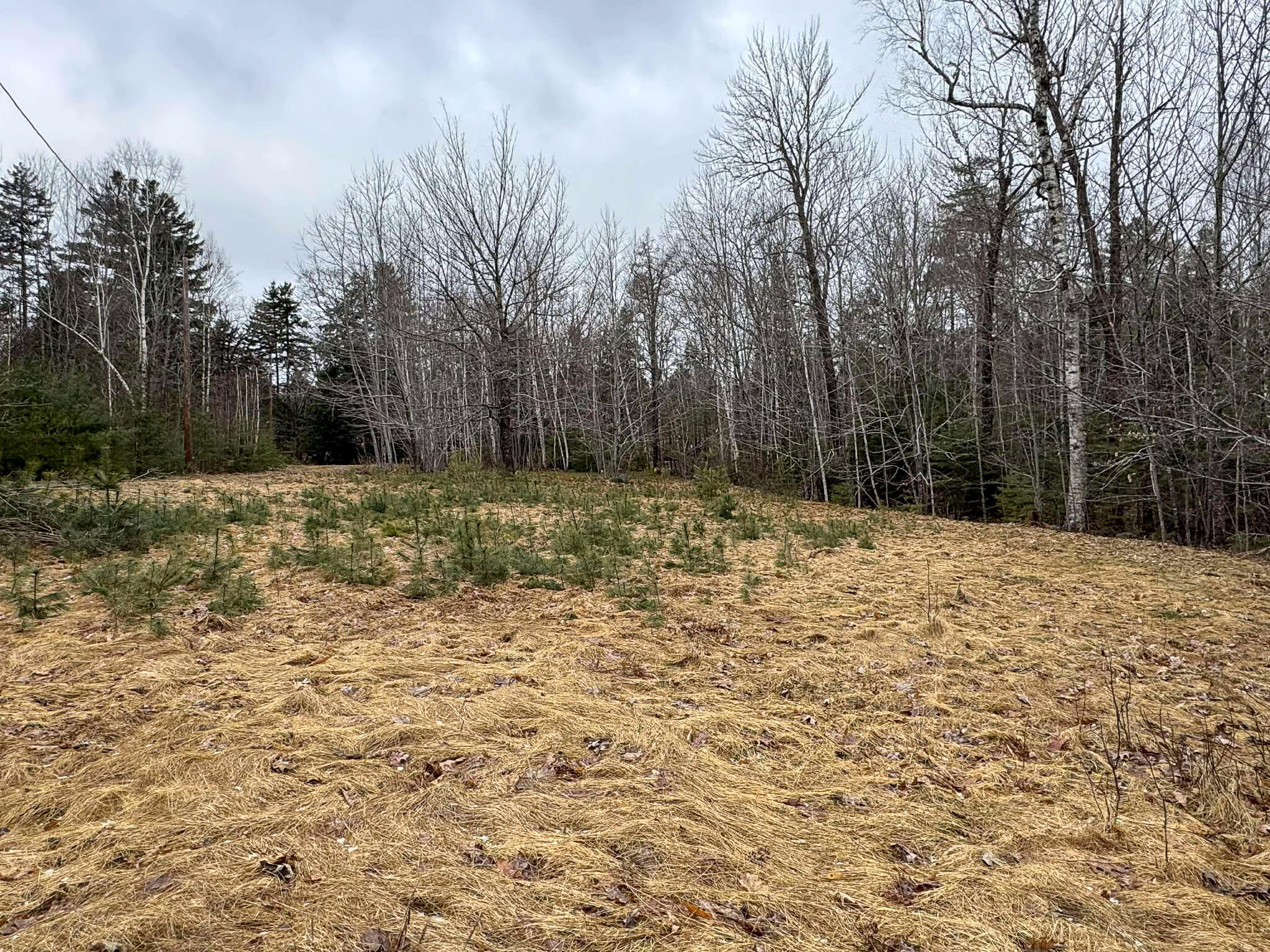 116 Sandy Beach Lane Otis ME 04605