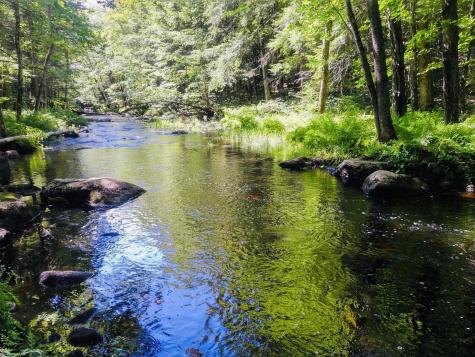 104 Eagle Crest Road Sebago ME 04029