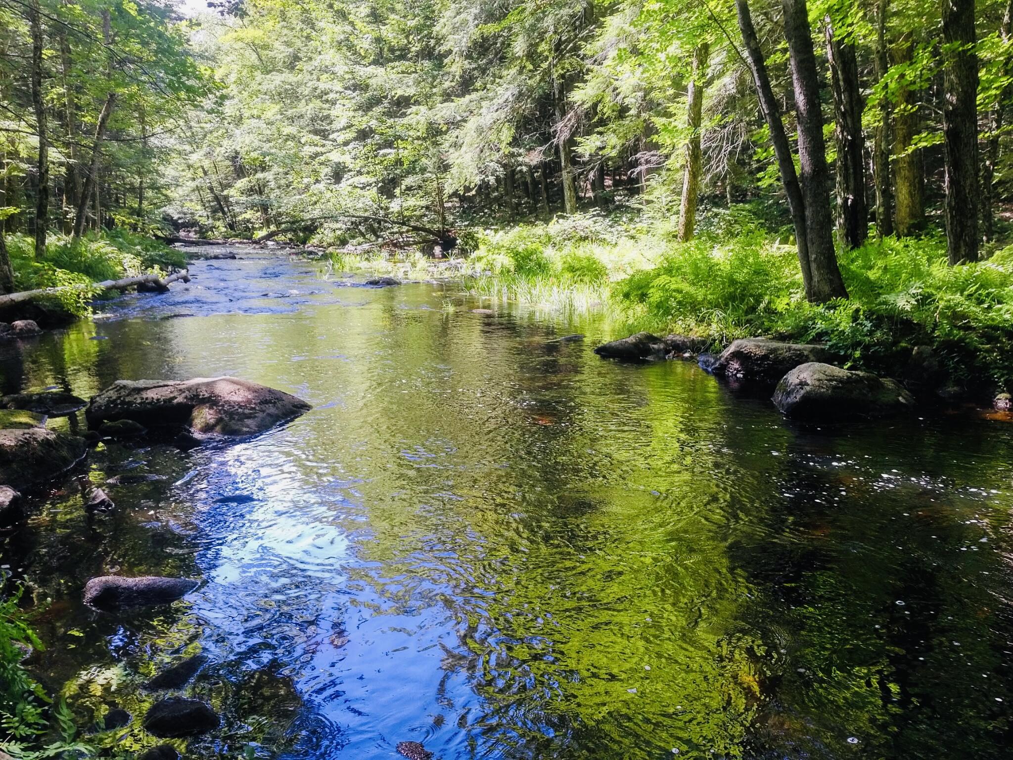 104 Eagle Crest Road Sebago ME 04029