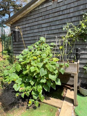 74 East Terrace Millinocket ME 04462