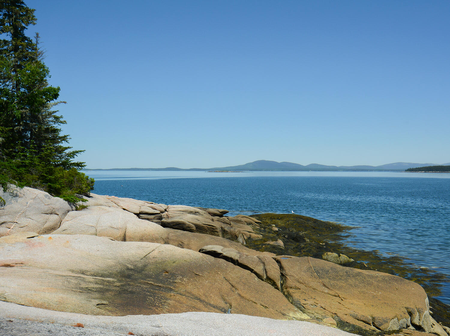 70 Island Retreat Road Swans Island ME 04685