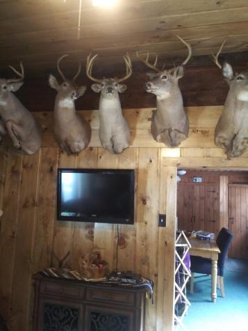 34 Birch Road Lexington Twp ME 04961