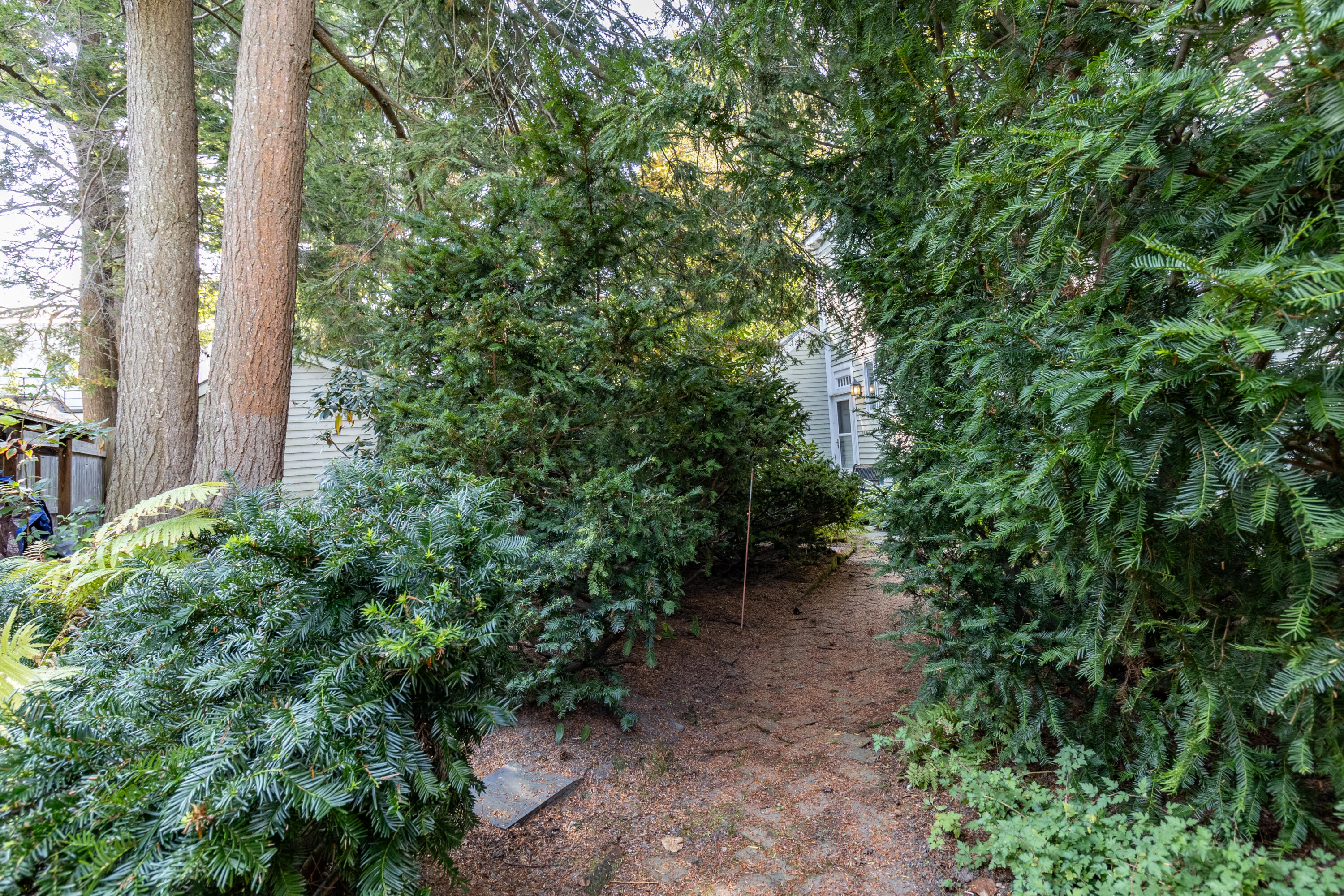 7 Potter Street Brunswick ME 04011