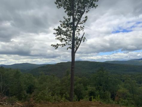 019 Bear Lane Rumford ME 04276