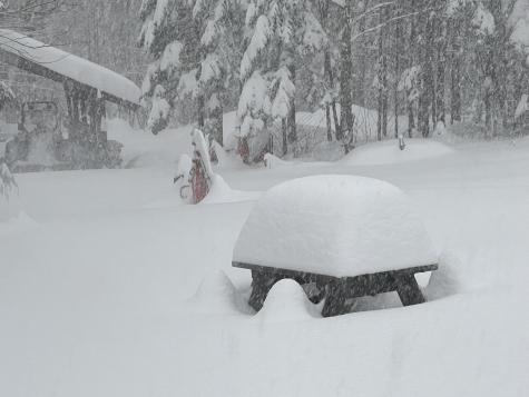 019 Bear Lane Rumford ME 04276