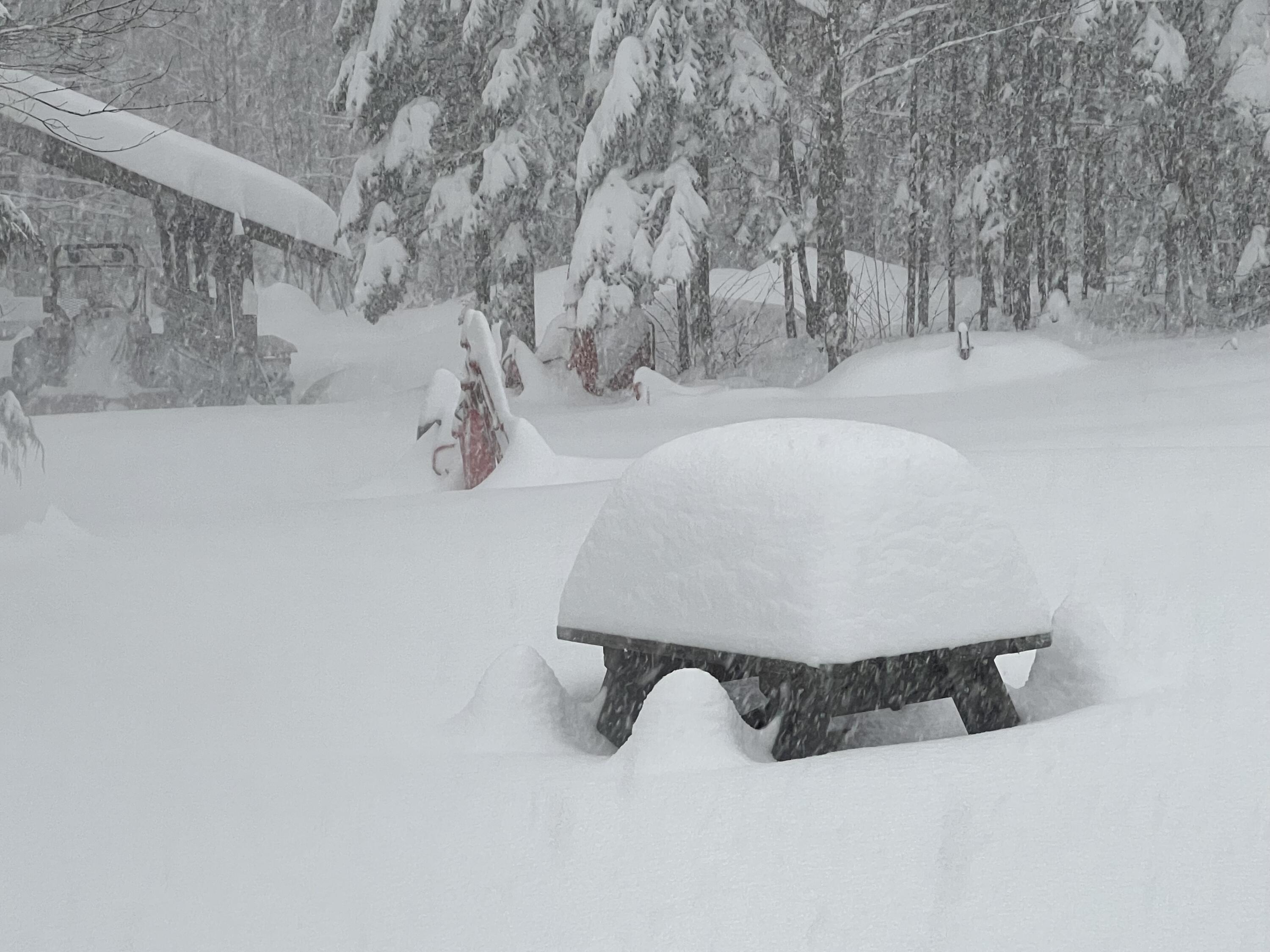 019 Bear Lane Rumford ME 04276