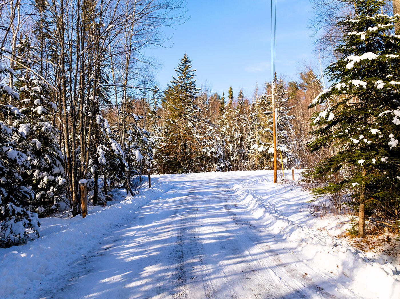 186 Pistols N Petals Road Warren ME 04864