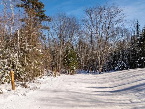 186 Pistols N Petals Road Warren ME 04864