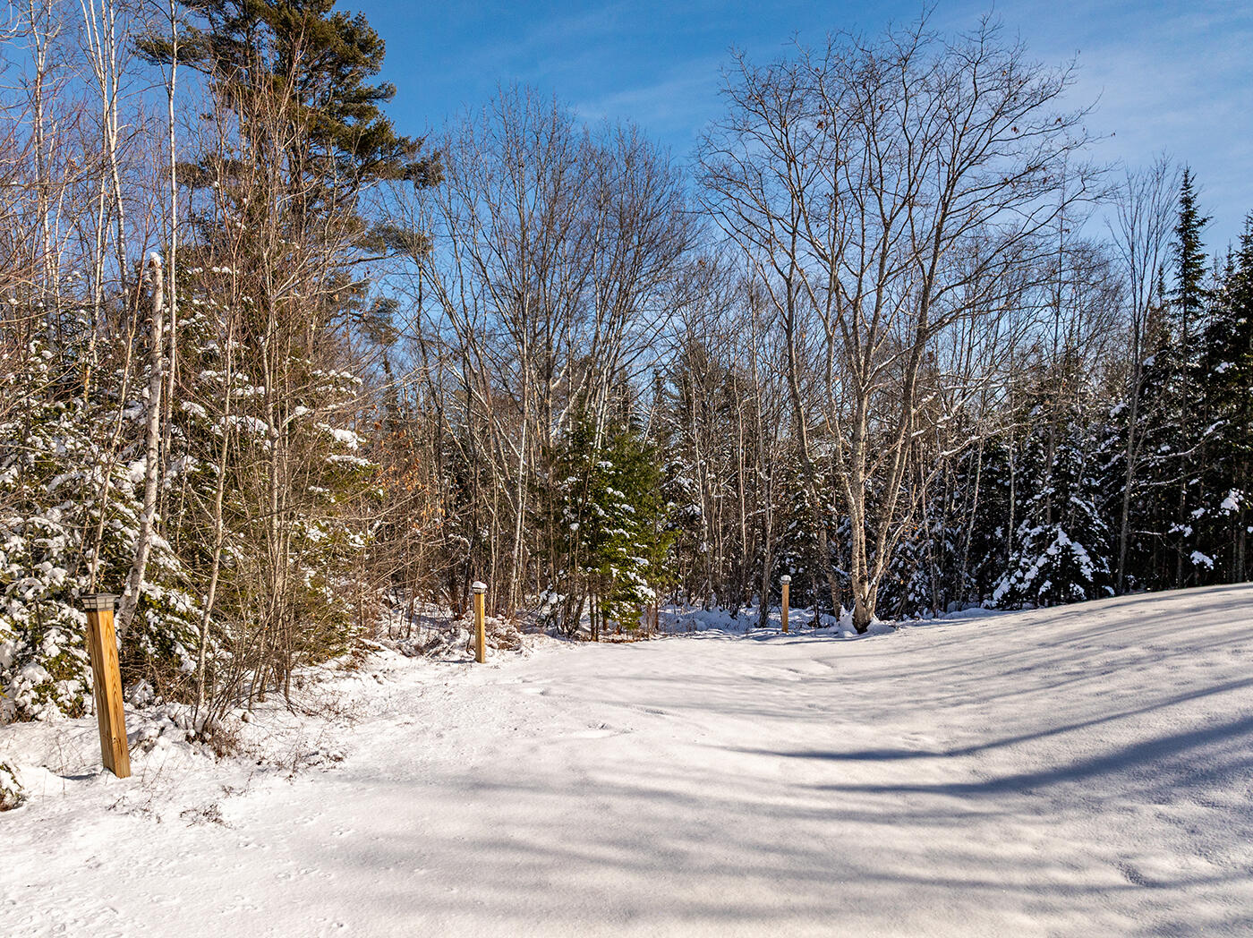 186 Pistols N Petals Road Warren ME 04864