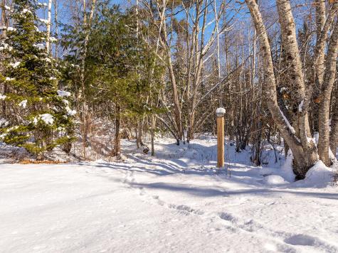 186 Pistols N Petals Road Warren ME 04864