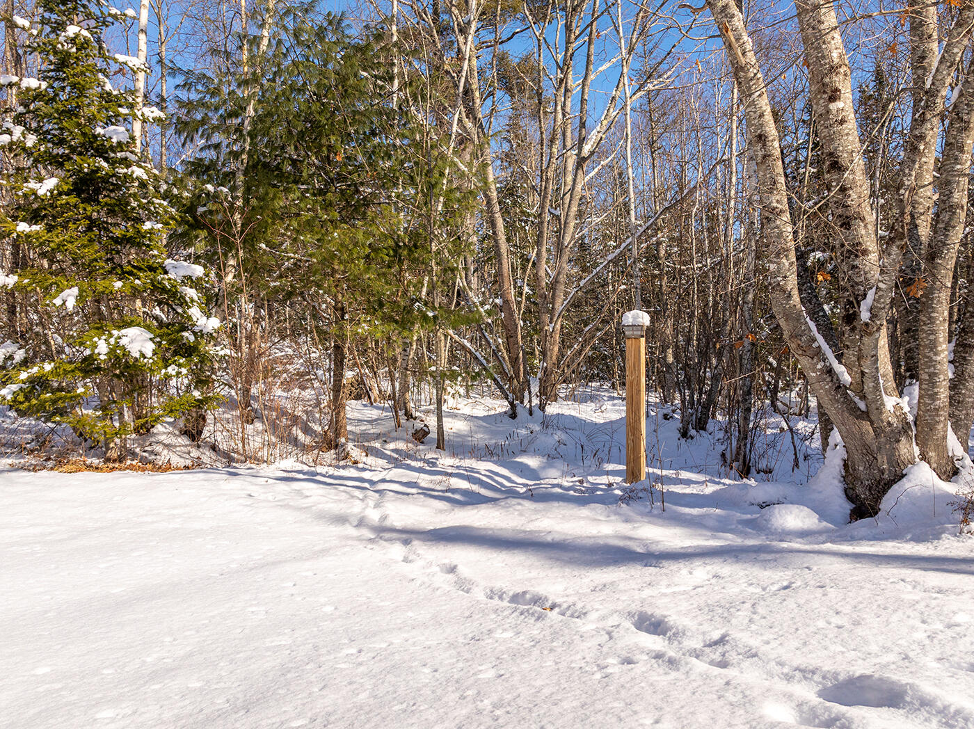 186 Pistols N Petals Road Warren ME 04864