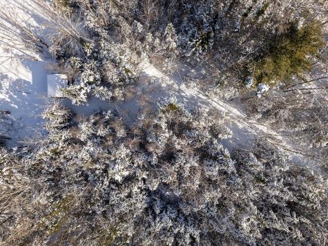 186 Pistols N Petals Road Warren ME 04864