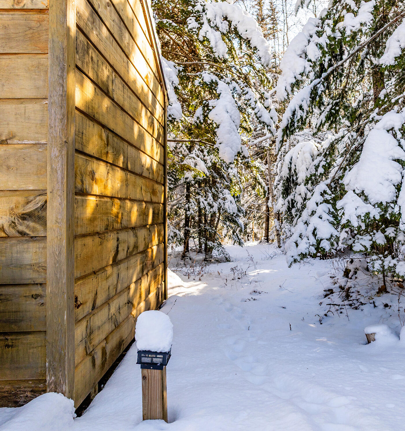 186 Pistols N Petals Road Warren ME 04864