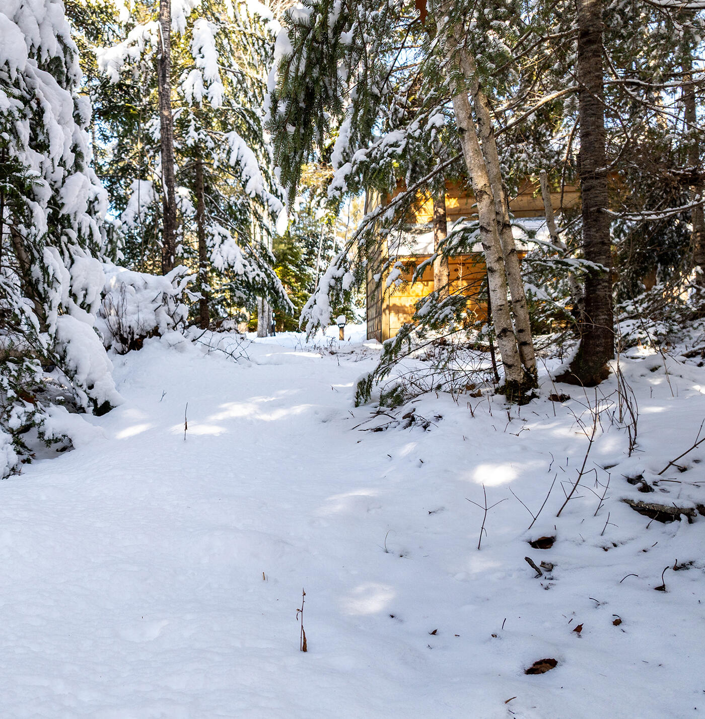 186 Pistols N Petals Road Warren ME 04864