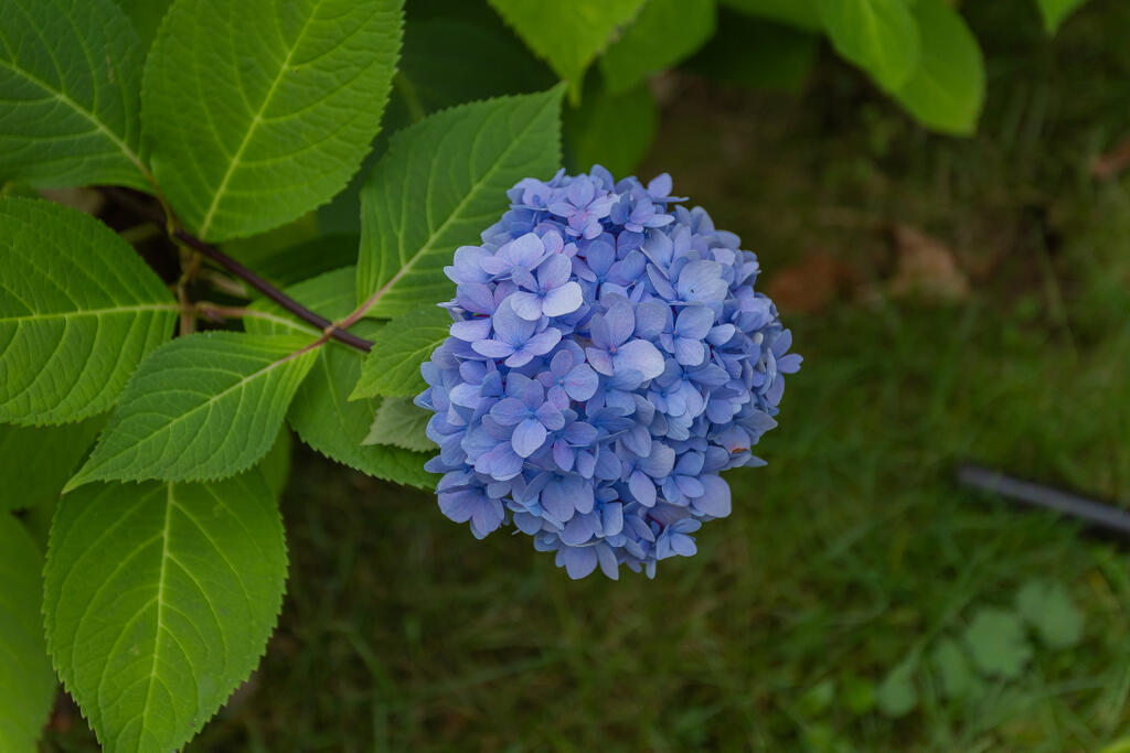 1563 Main Street Dixfield ME 04224