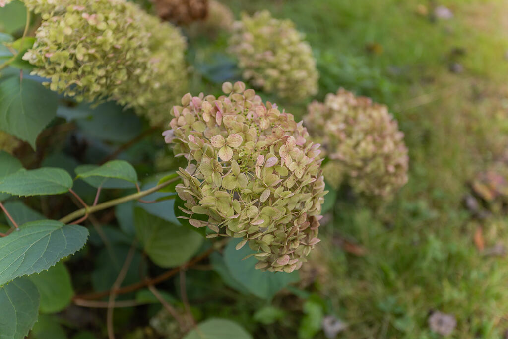 1563 Main Street Dixfield ME 04224