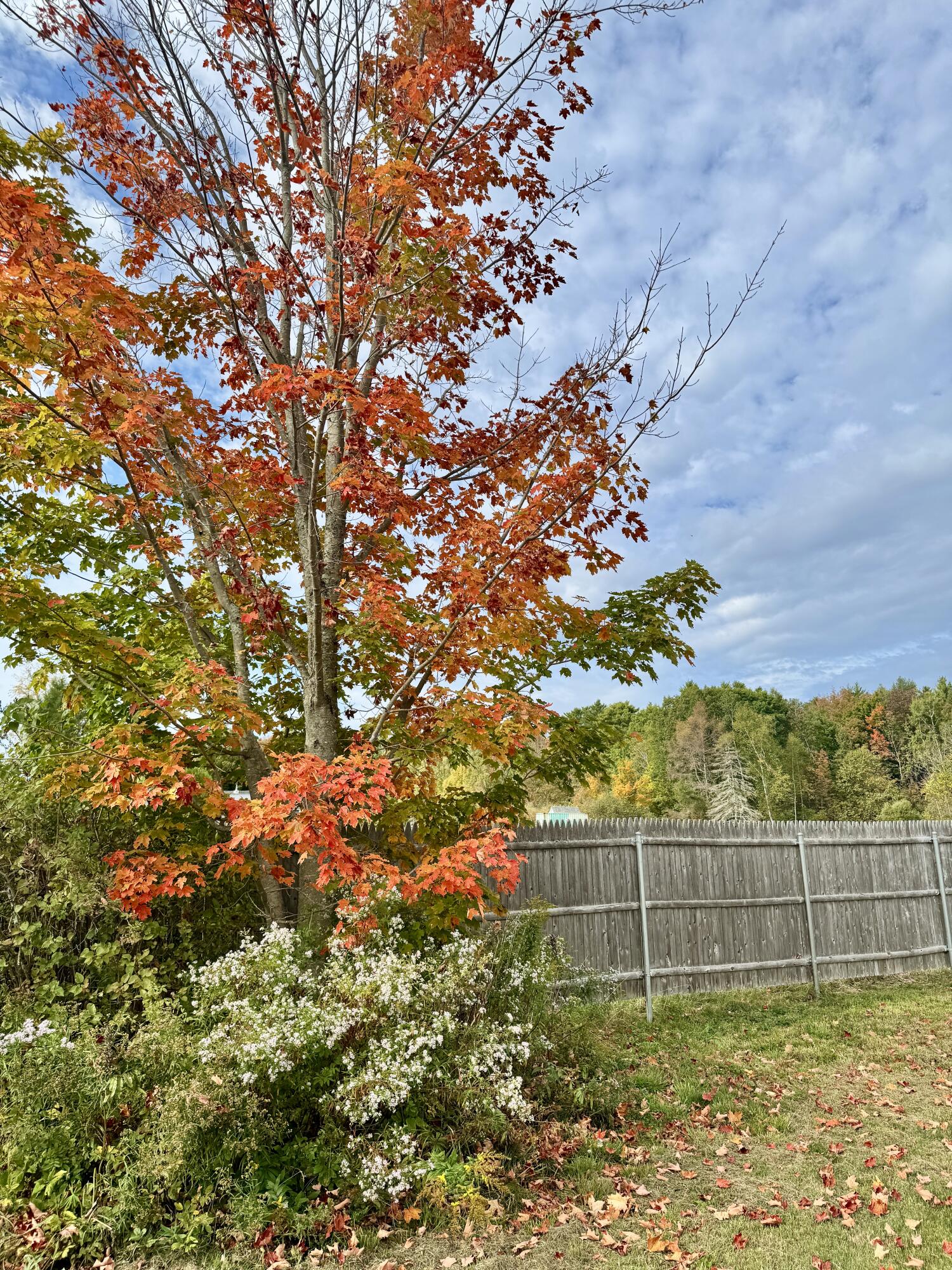 35 Townhouse Road Kenduskeag ME 04450