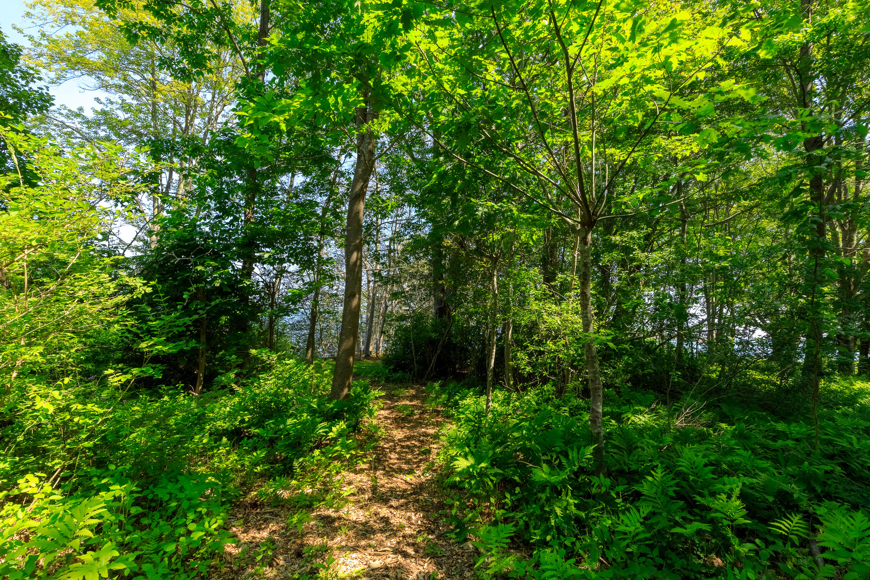 7 Central Landing Road Chebeague Island ME 04017