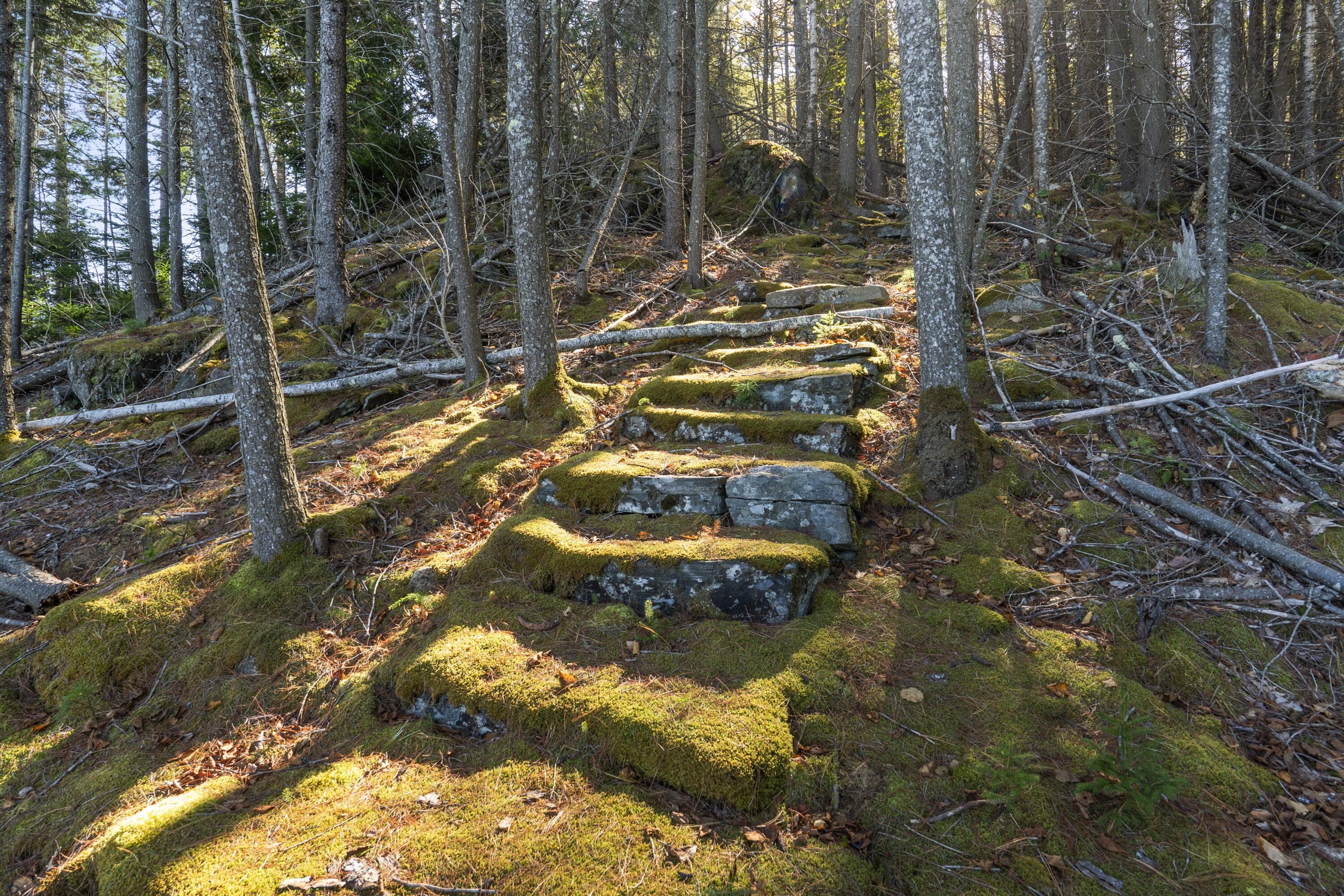 17 Lester Road Westport Island ME 04578