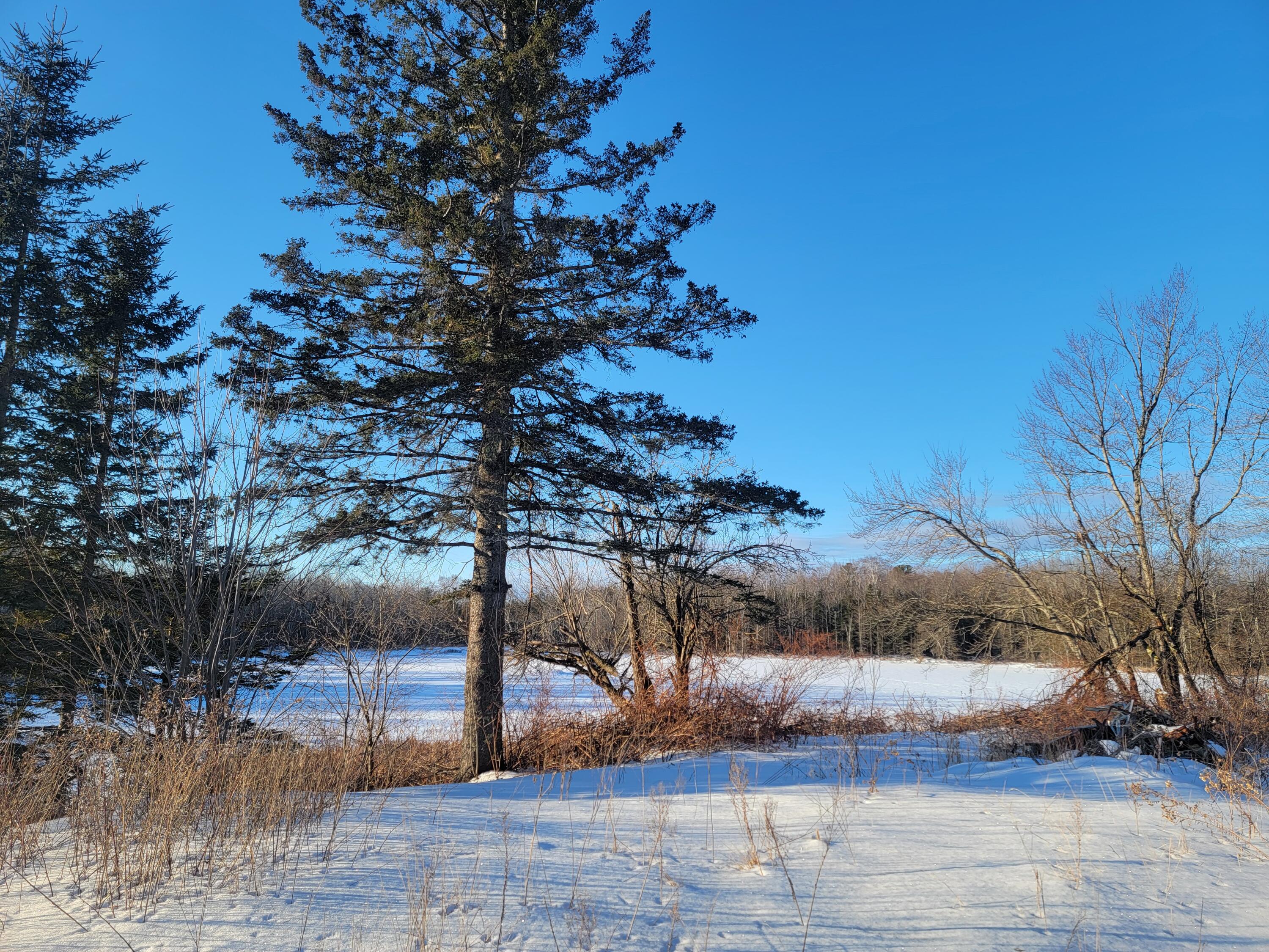 501 Main Road Charleston ME 04422