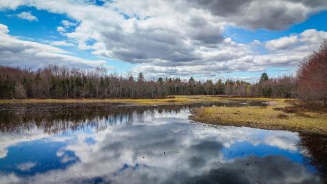 501 Main Road Charleston ME 04422