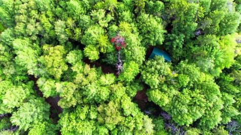 643 Sandy Beach Road Danforth ME 04424