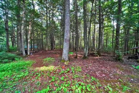 643 Sandy Beach Road Danforth ME 04424