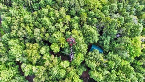 643 Sandy Beach Road Danforth ME 04424