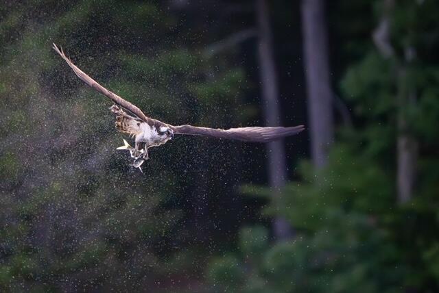 111 Rockweed Road West Bath ME 04530