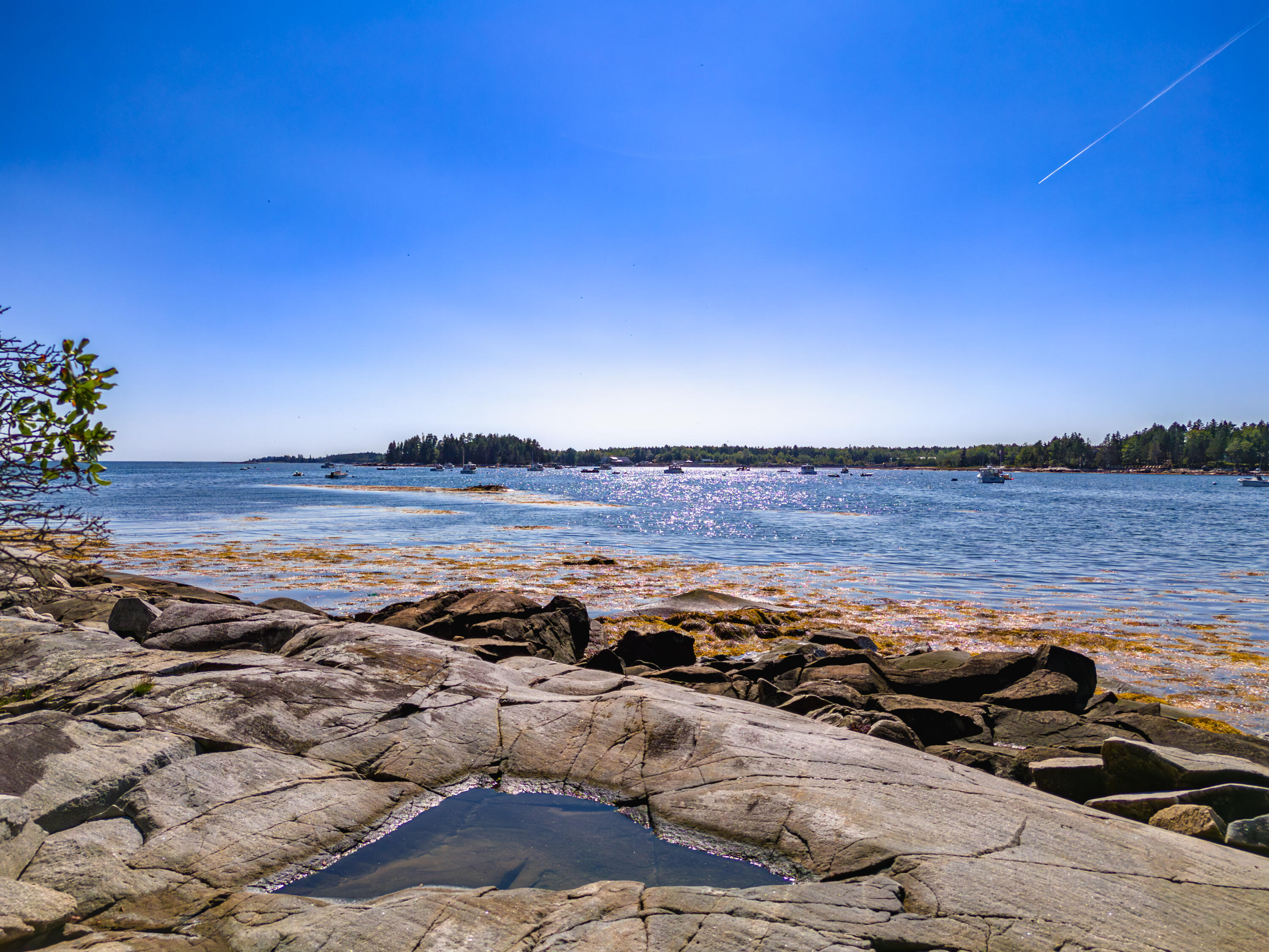 130 Harrington Cove Road Saint George ME 04859