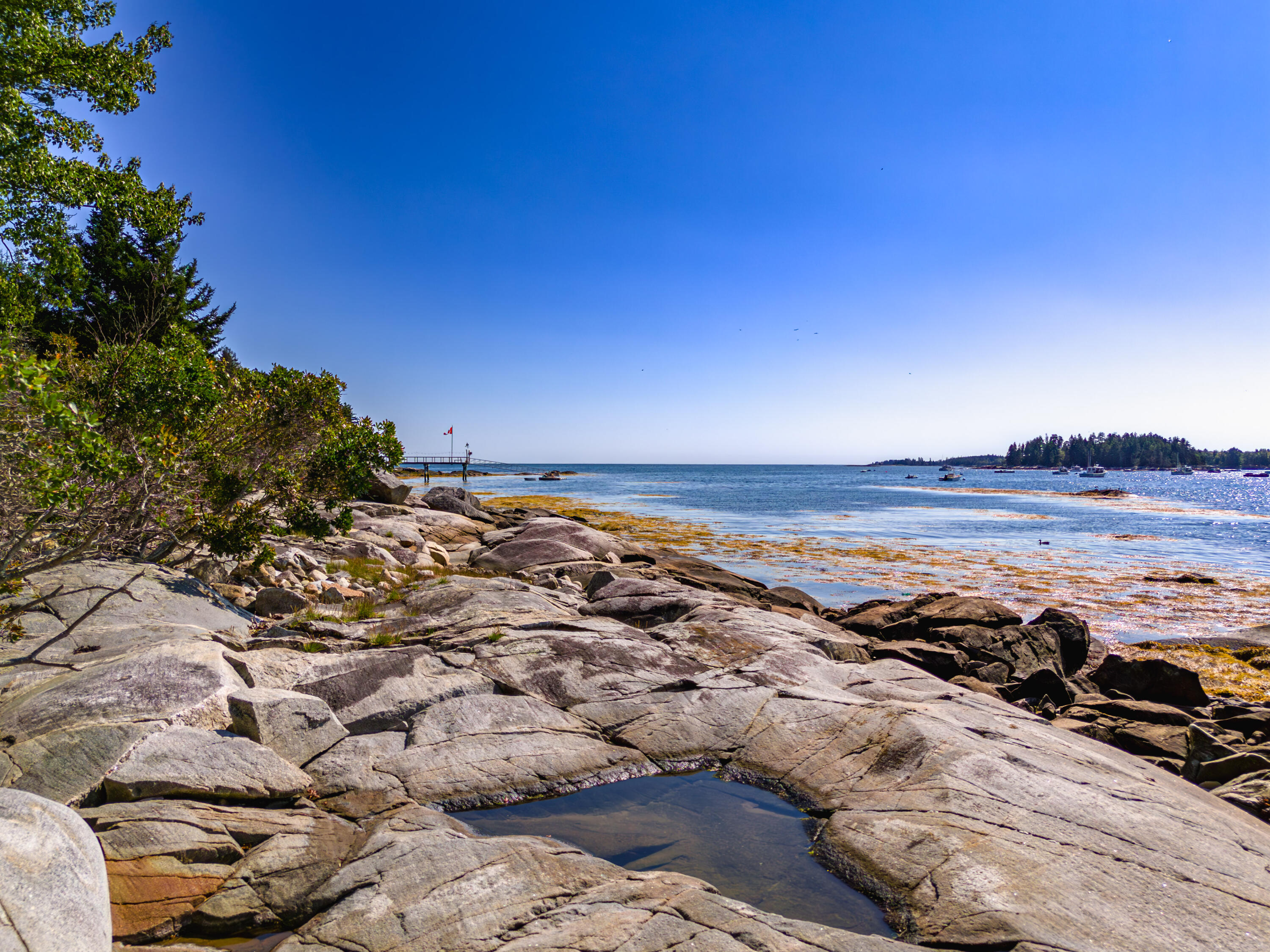 130 Harrington Cove Road Saint George ME 04859