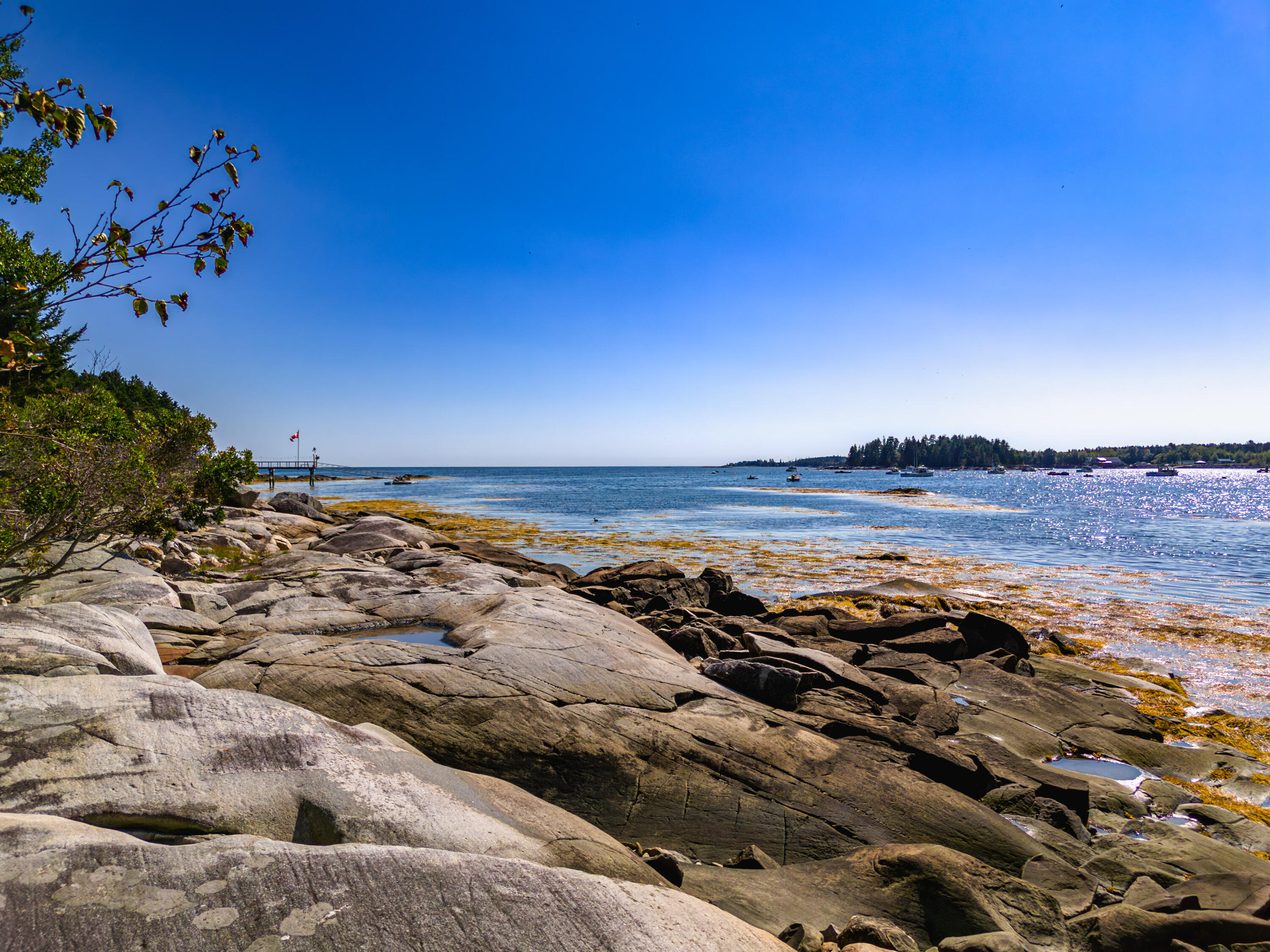 130 Harrington Cove Road Saint George ME 04859